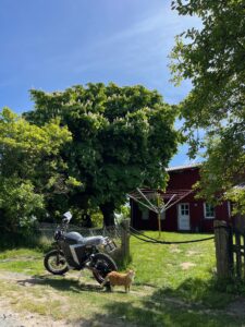 Elektro Motorradtransporte: Elektro-Motorrad steht im sonnigen Garten vor einem roten Haus, daneben eine orangefarbene Katze unter einem großen grünen Baum.